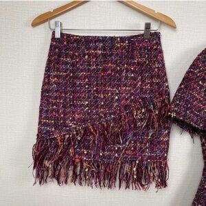 NWOT Zara Chic Fringe Tweed Skirt - Multicolor